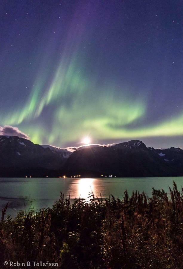 Fjordferie Appartamento *