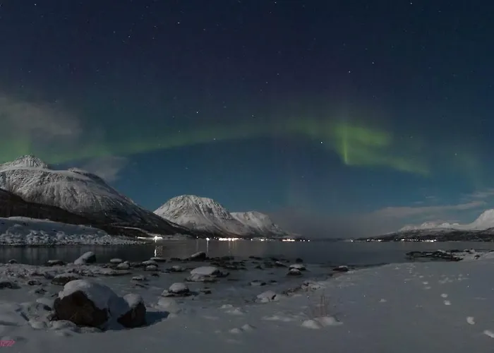 Sjursnes Fjordferie