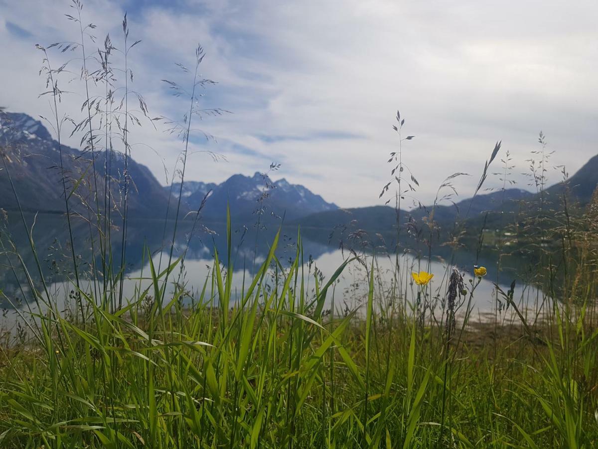 Fjordferie Appartement Sjursnes